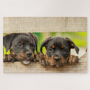 Cute Puppy Dog Jigsaw Puzzle