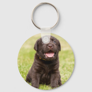Cute puppy dog key ring