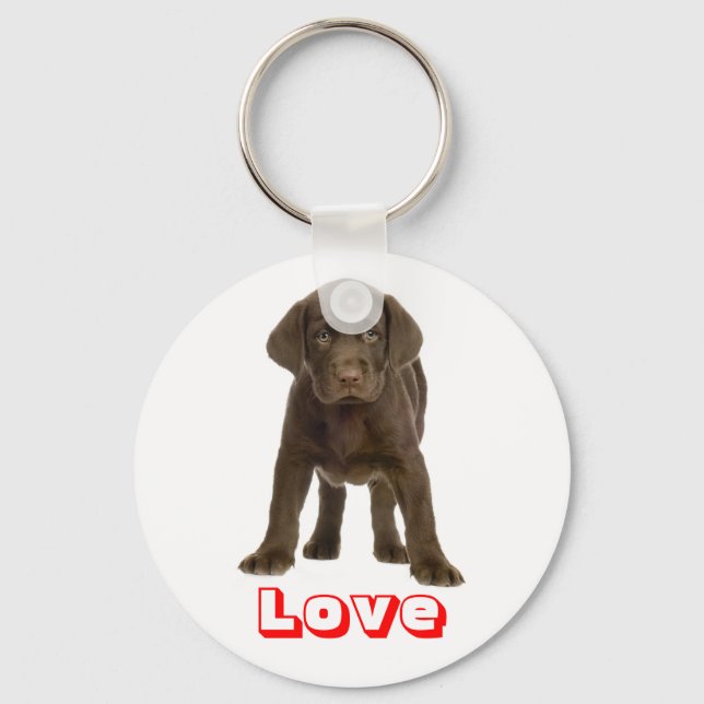 Cute Puppy Dog Love Chocolate Labrador Retriever  Key Ring (Front)