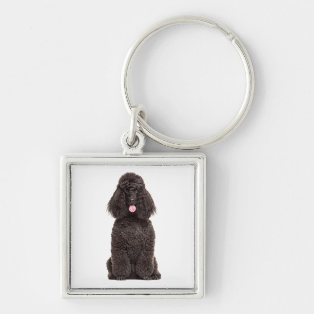 Cute Puppy Dog Lover Black Poodle Key Ring (Front)