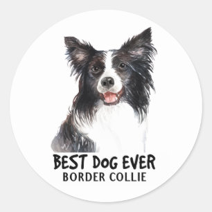 Cute Puppy Dog Lover Black White Border Collie Classic Round Sticker