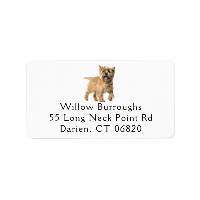Cute Puppy Dog Lover Cairn Terrier Label (Front)