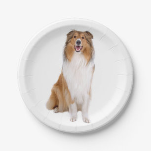 Cute Puppy Dog Lover Collie Paper Plate