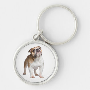 Cute Puppy Dog Lover Gift English Bulldog Keychai Key Ring