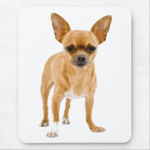 Cute Puppy Dog Lover Gift Funny Chihuahua Mouse Pa Pad