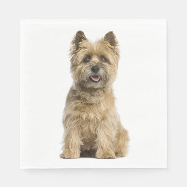 Cute Puppy Dog Lover Party Cairn Terrier Favour Ba Napkin (Front)