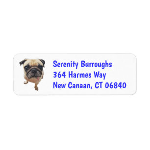 Cute Puppy Dog Lover Rescue Mum Funny Pug Return Address Label