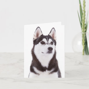 Cute Puppy Dog Lover Siberian Husky Hello Card