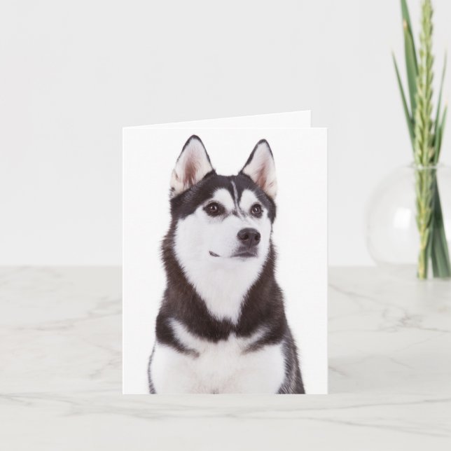 Cute Puppy Dog Lover Siberian Husky Hello Card (Front)