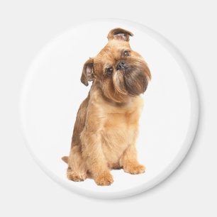 Cute Puppy Dog Lovers Brussels Griffon Magnet