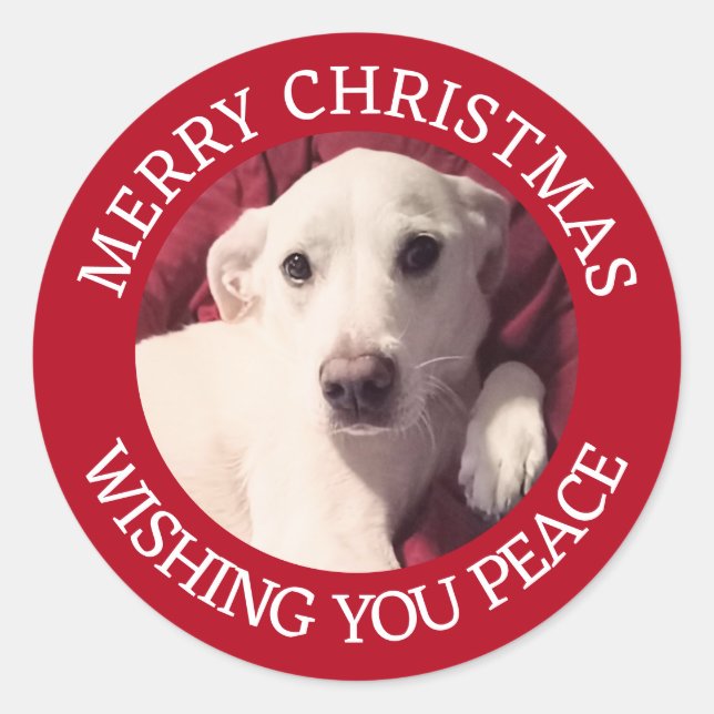 Cute Puppy Dog Merry Christmas Peace Red Classic Round Sticker (Front)