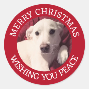 Cute Puppy Dog Merry Christmas Peace Red Classic Round Sticker
