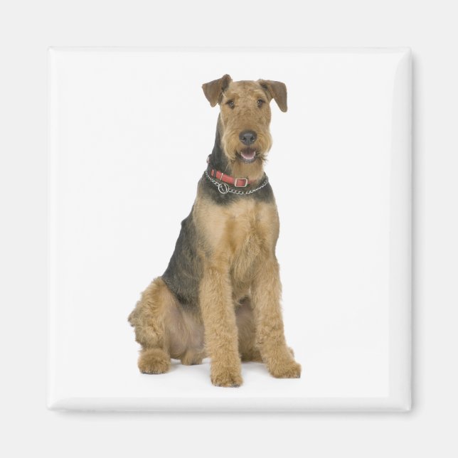 Cute Puppy Dog Mum Dog Lover Airedale Terrier Magnet (Front)