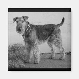 Cute Puppy Dog Mum Dog Lover Airedale Terrier Magnet