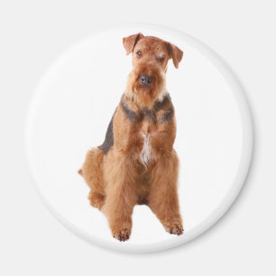 Cute Puppy Dog Mum Dog Lover Airedale Terrier Magnet