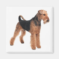 Cute Puppy Dog Mum Dog Lover Airedale Terrier