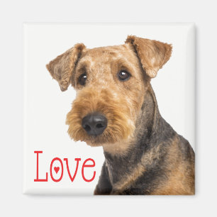 Cute Puppy Dog Mum Dog Lover Airedale Terrier Magnet