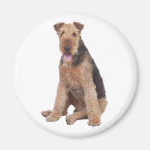 Cute Puppy Dog Mum Dog Lover Airedale Terrier Magnet