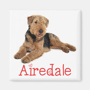 Cute Puppy Dog Mum Dog Lover Airedale Terrier Magnet