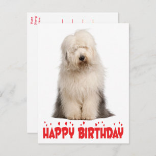 Cute Puppy Dog Old English Sheepdog Birthday  Post Postcard