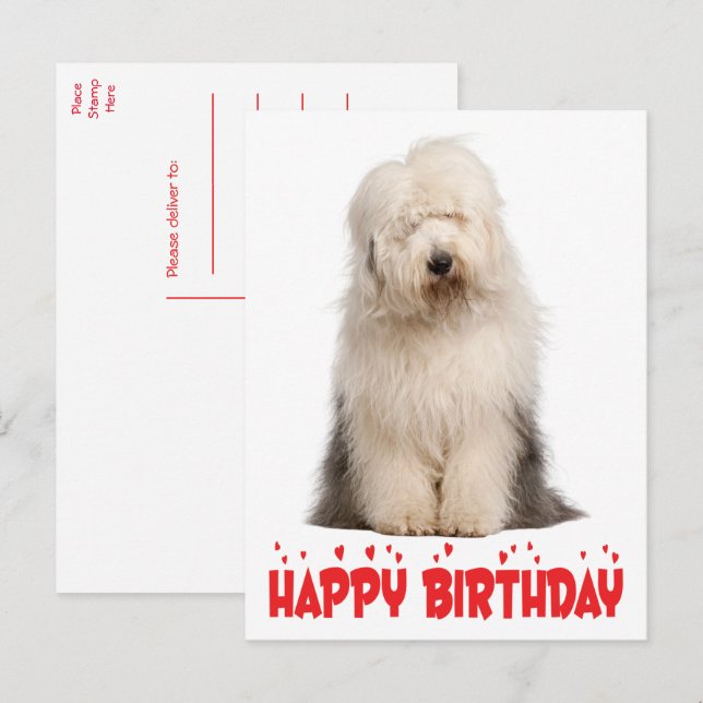 Cute Puppy Dog Old English Sheepdog Birthday  Post Postcard (Front/Back)