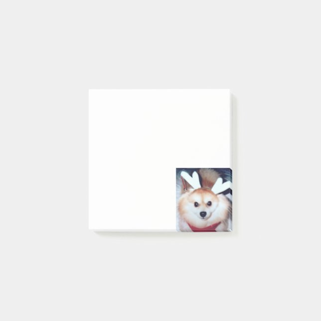 Cute Puppy Dog Photo Pomeranian Post-it Notes (Front)