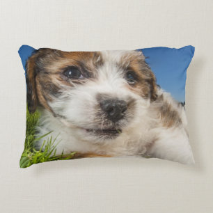Cute puppy dog (Shitzu) Decorative Cushion