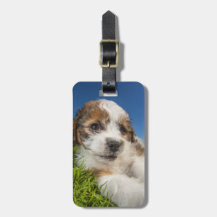 Cute puppy dog (Shitzu) Luggage Tag