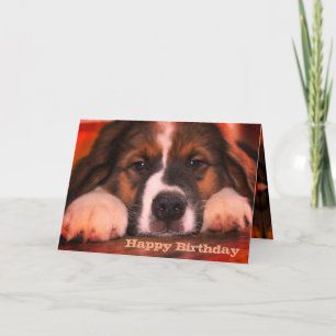 Cute Puppy Dog Stylish Card