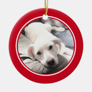 Cute Puppy Dog with Dad Round Red Ceramic Ornament