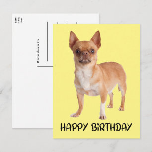 Cute Puppy Dog Yellow Funny Chihuahua Birthday  Postcard