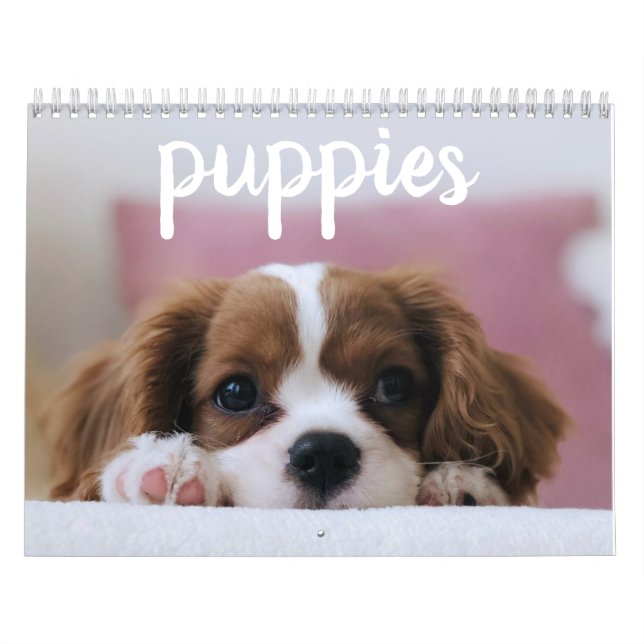 Cute Puppy Dogs Calendar (Cover)