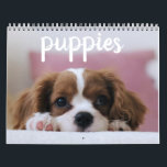 Cute Puppy Dogs Calendar<br><div class="desc">Cute puppy dogs not just to brighten your day, but for your whole year. Pin this calendar in your office, dorm, home, kitchen, anywhere that will make you smile.</div>