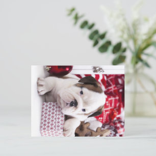 Cute Puppy English Bulldog Funny Christmas Holiday Postcard