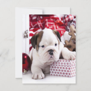Cute Puppy English Bulldog Funny Christmas Invitation