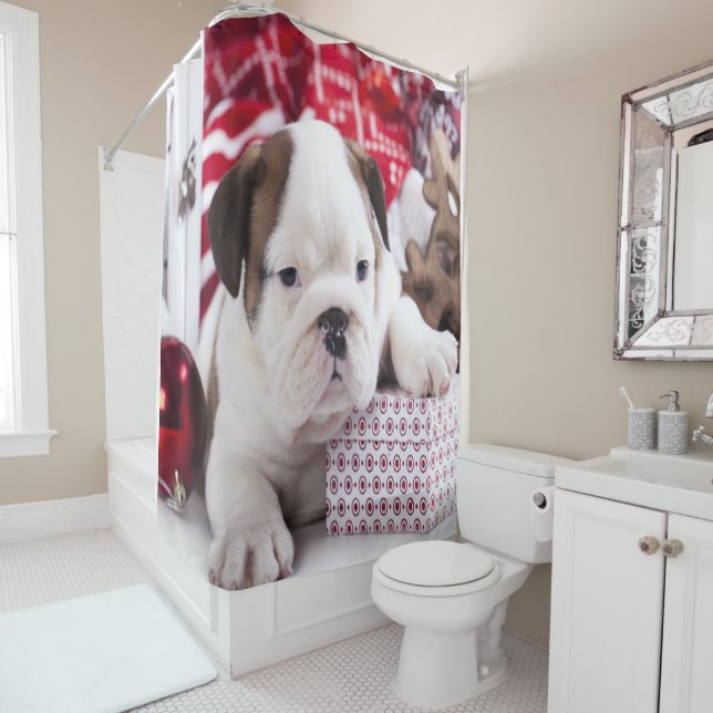 Cute Puppy English Bulldog | Funny Christmas Shower Curtain (In Situ)
