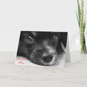 Cute Puppy Face Custom Valentine Card
