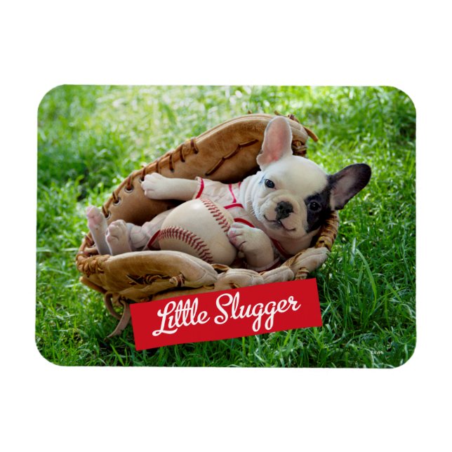 Cute Puppy in a Baseball Mitt Magnet (Horizontal)