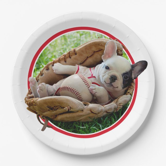 Cute Puppy in a Baseball Mitt Paper Plate (Front)