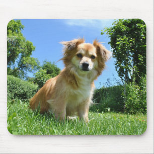 Cute Puppy in Garden Mouse Pad