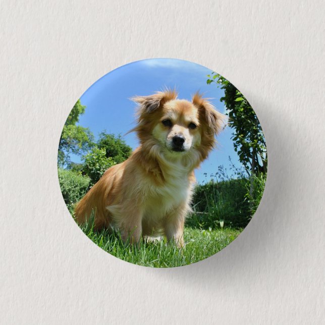 Cute Puppy in Garden Photo 3 Cm Round Badge (Front)