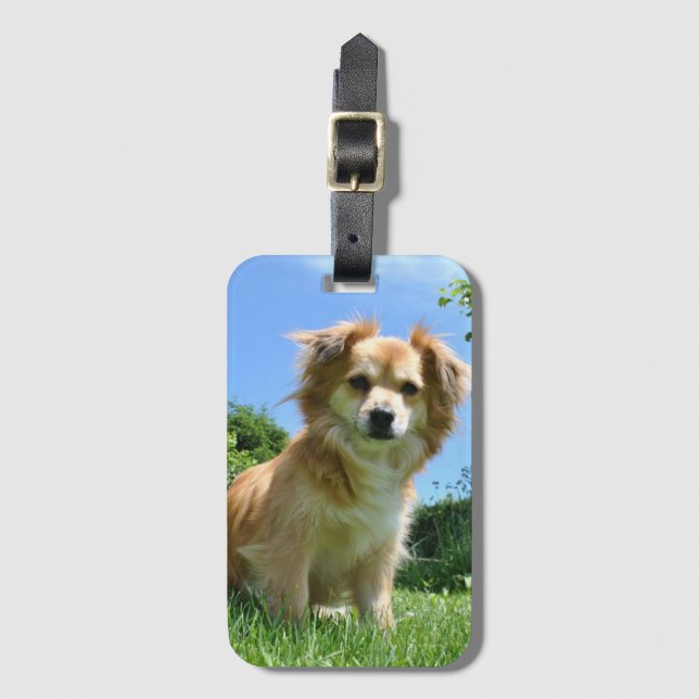 Cute Puppy in Garden Photo Luggage Tag (Front Vertical)