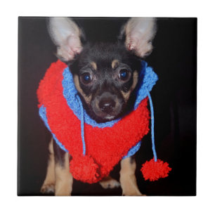 Cute Puppy in Red Wool Sweater Ceramic Tile