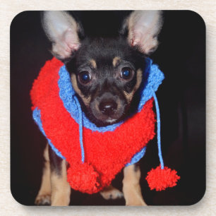 Cute Puppy in Red Wool Sweater Coaster