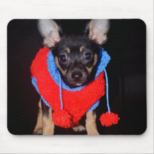 Cute Puppy in Red Wool Sweater Mouse Pad