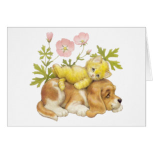 Cute Puppy & Kitten