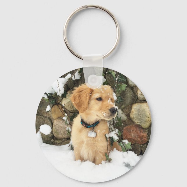 Cute Puppy lab retriever  Key Ring (Front)