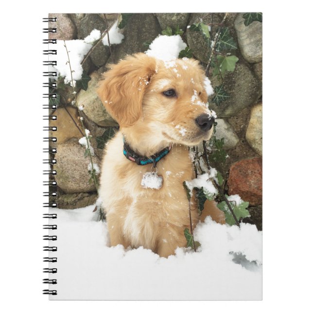 Cute Puppy lab retriever  Notebook (Front)