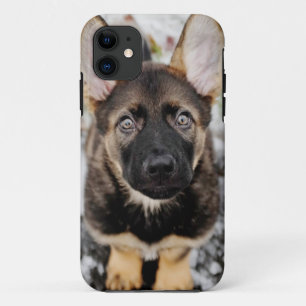 Cute Puppy Looking Up iPhone 11 Case
