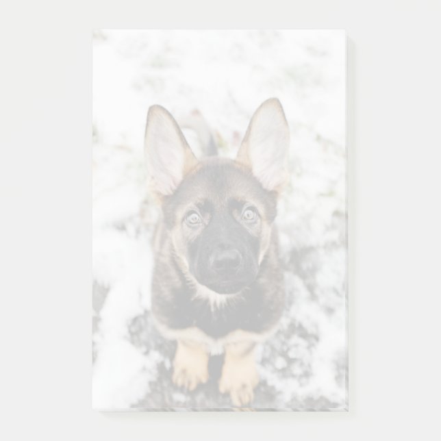 Cute Puppy Looking Up Post-it Notes (Front)